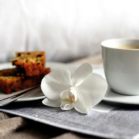 Le Stanze Dell'artista Boutique Pensjonat 3*